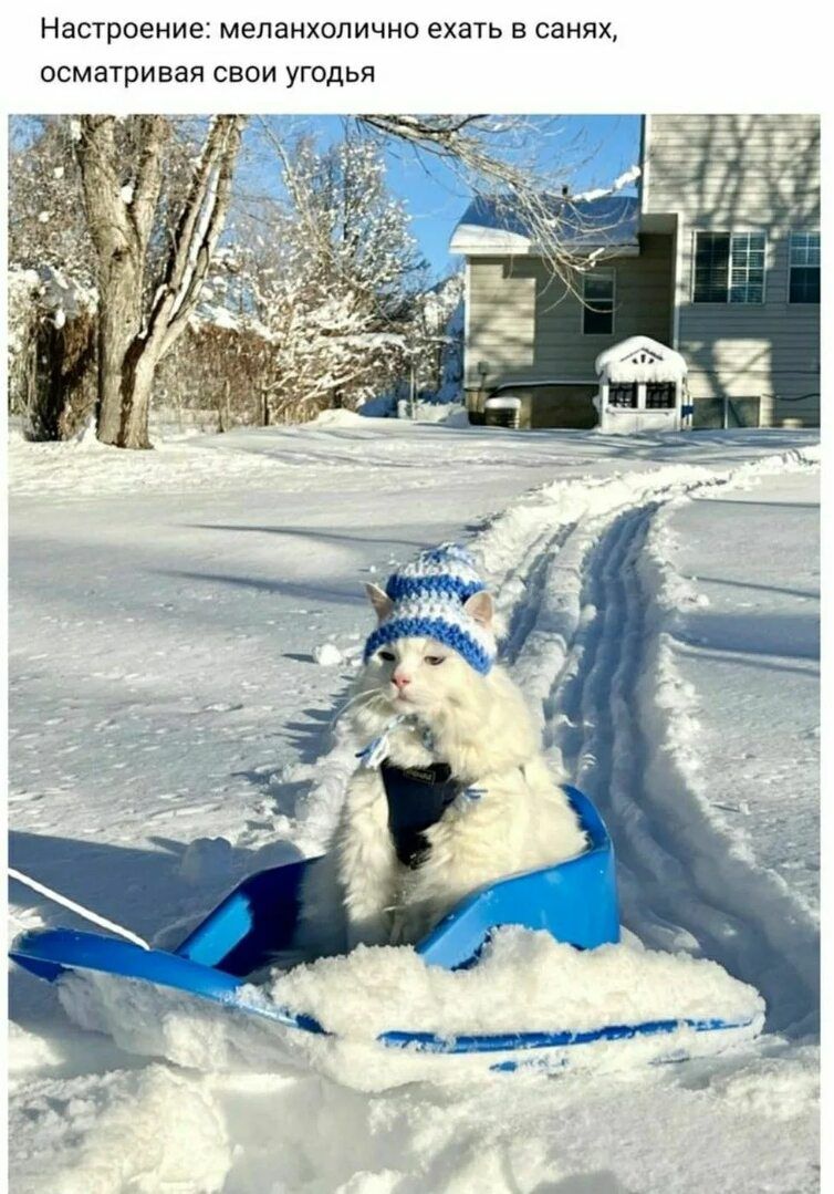 Настроение: меланхолично ехать в санях, осматривая свои угодья