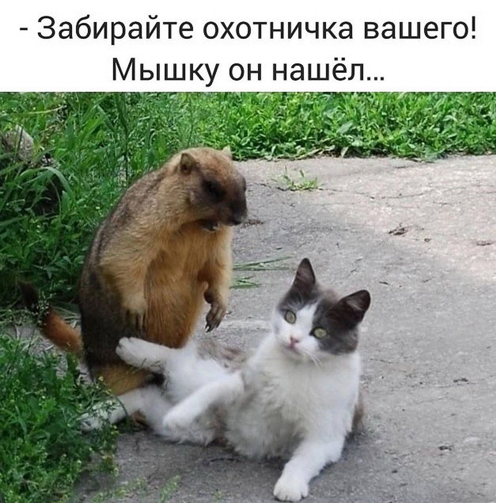 - Забирайте охотничка вашего! Мышку он нашёл...