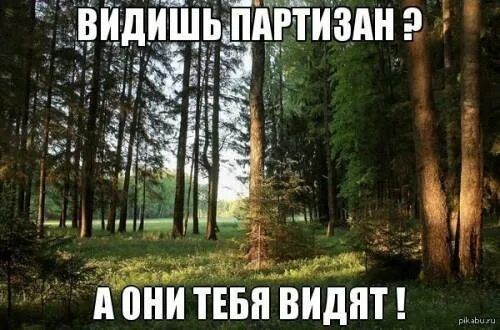ВИДИШЬ ПАРТИЗАН? А ОНИ ТЕБЯ ВИДЯТ!