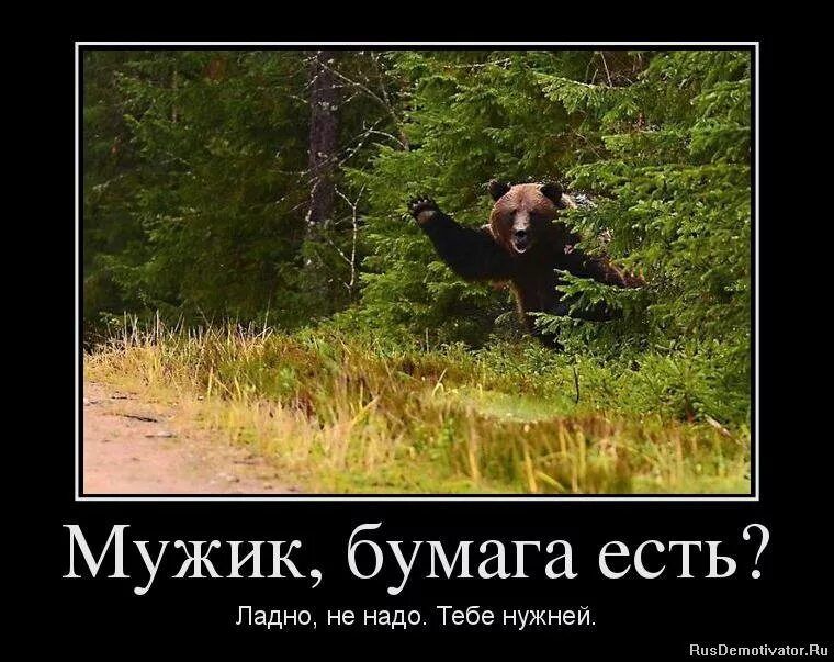 Мужик, бумага есть?
Ладно, не надо. Тебе нужней.