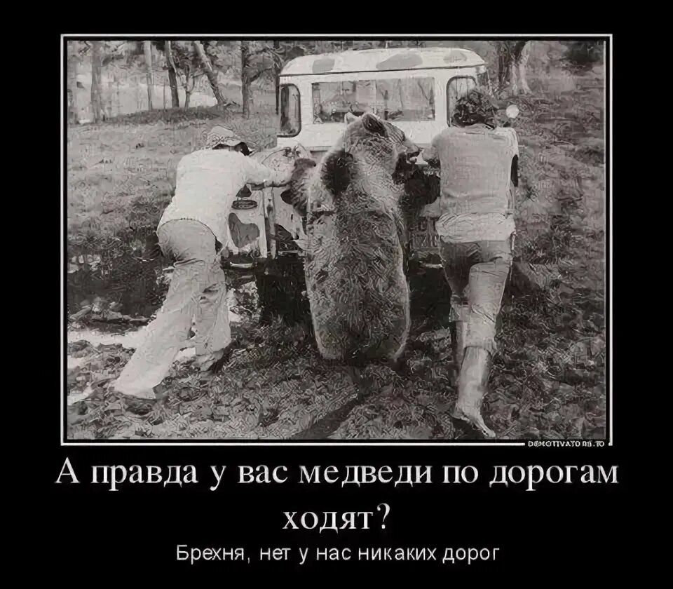 А правда у вас медведи по дорогам ходят? Брехня, нет у нас никаких дорог