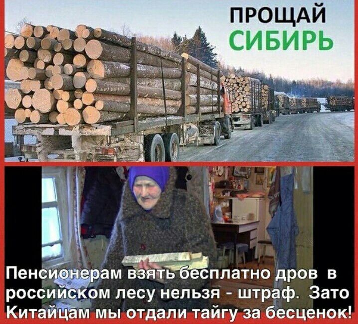 ПРОЩАЙ СИБИРЬ
Пенсионерам взять бесплатно дров в российском лесу нельзя - штраф. Зато Китайцам мы отдали тайгу за бесценок!
