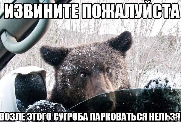 ИЗВИНИТЕ ПОЖАЛУЙСТА
ВОЗЛЕ ЭТОГО СУГРОБА ПАРКОВАТЬСЯ НЕЛЬЗЯ