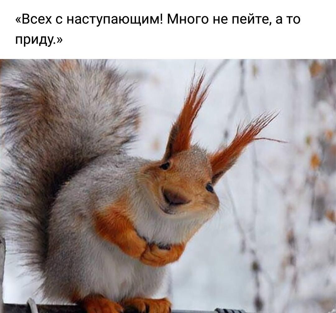 «Всех с наступающим! Много не пейте, а то приду.»