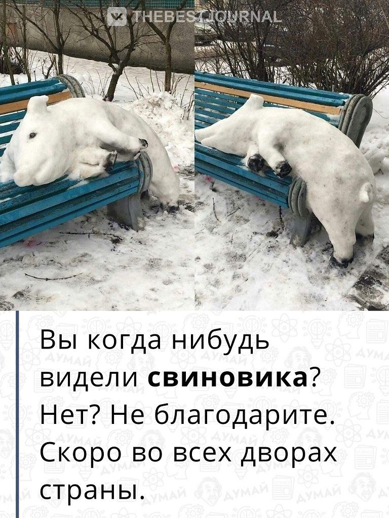 Вы когда нидуб видели свиновика? Нет? Не благодарите. Скоро во всех дворах страны.