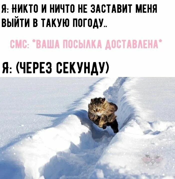 Я: никто и ничто не заставит меня выйти в такую погоду..
СМС: 'Ваша посылка доставлена'
Я: (через секунду)