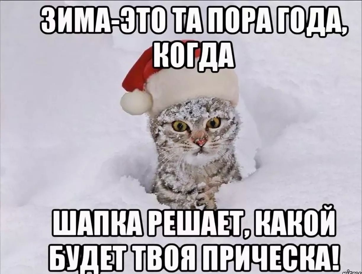 ЗИМА-ЭТО ТА ПОРА ГОДА, КОГДА\nШАПКА РЕШАЕТ, КАКОЙ БУДЕТ ТВОЯ ПРИЧЕСКА!