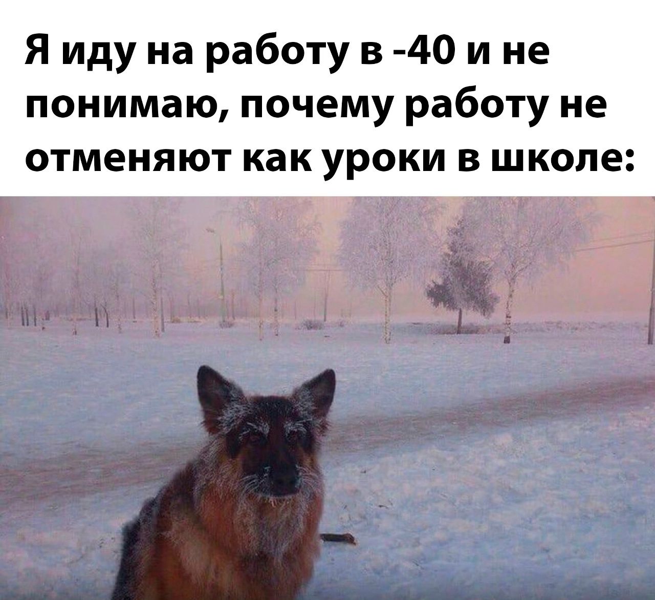 Я иду на работу в -40 и не понимаю, почему работу не отменяют как уроки в школе: