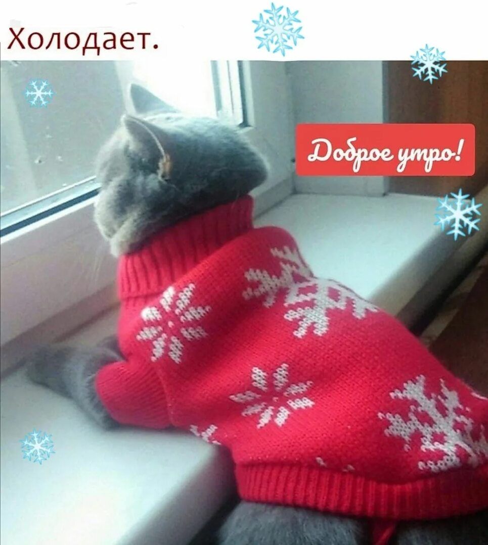 Холодает. Доброе утро!