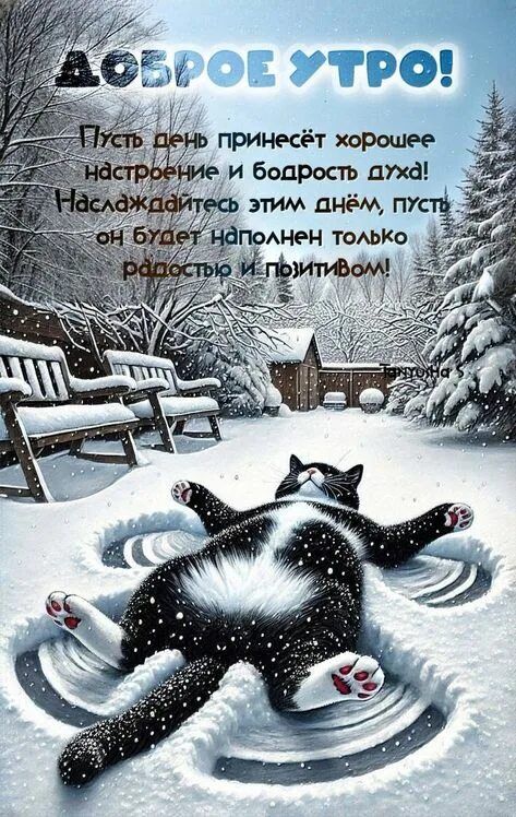Доброе утро! Пусть день принесёт хорошее настроение и бодрость духа! Наслаждайтесь этим днём, пусть он будет наполнен только радостью и позитивом!