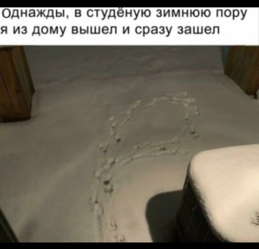 Однажды, в студеную зимнюю пору я из дома вышел и сразу зашел