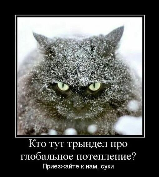 Кто тут трындёл про глобальное потепление?\nПриезжайте к нам, суки