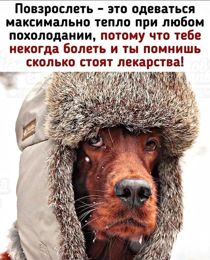 Повзрослеть – это одеваться максимально тепло при любом похолодании, потому что тебе некогда болеть и ты помнишь сколько стоят лекарства!