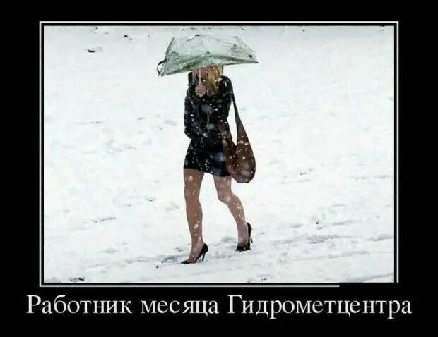 Работник месяца Гидрометцентра