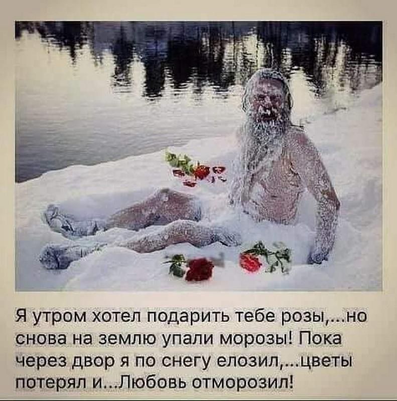 Я утром хотел подарить тебе розы,...но снова на землю упали морозы! Пока через двор я по снегу елоиз...цветы потерял и... Любовь отморозил!
