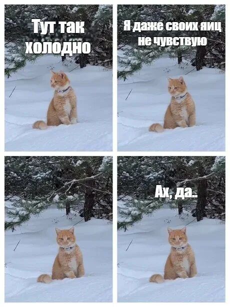 Тут так холодно. Я даже своих яиц не чувствую. Ах, да.