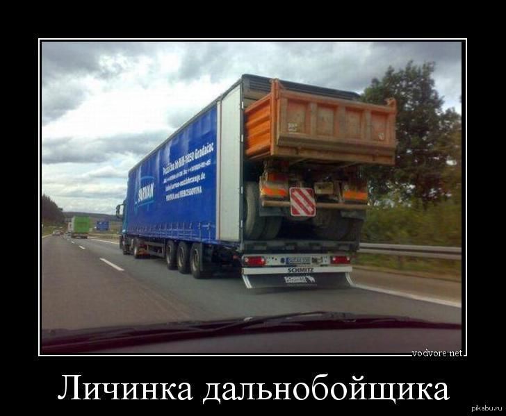 Личинка дальнобойщика