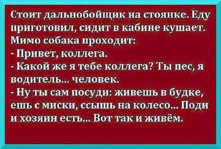 Стоит дальнобойщик на стоянке. Еду приготовил, сидит в кабине кушает. Мимо собака проходит: - Привет, колега. - Какой же я тебе колега? Ты пес, я водитель... человек. - Ну ты сам посуди: живешь в будке, ешь с миски, смотришь на колесо... Поди и хозяин есть... Вот так и живём.