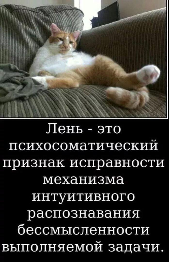 Лень - это психосоматический признак исправности механизма интуитивного распознавания бессмысленности выполняемой задачи.
