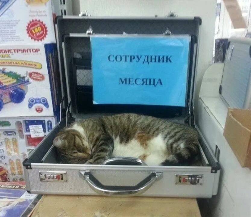 СОТРУДНИК МЕСЯЦА