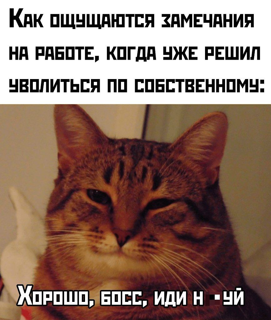 Как ощущаются замечания на работе, когда уже решил уйти по собственному: Хорошо, босс, иди нахуй