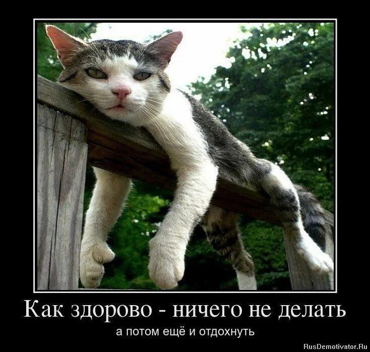 Как здорово - ничего не делать а потом ещё и отдохнуть