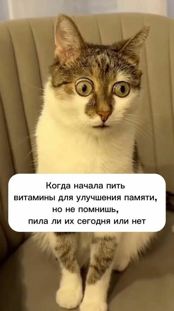 Когда начала пить витамины для улучшения памяти, но не помнишь, пила ли их сегодня или нет