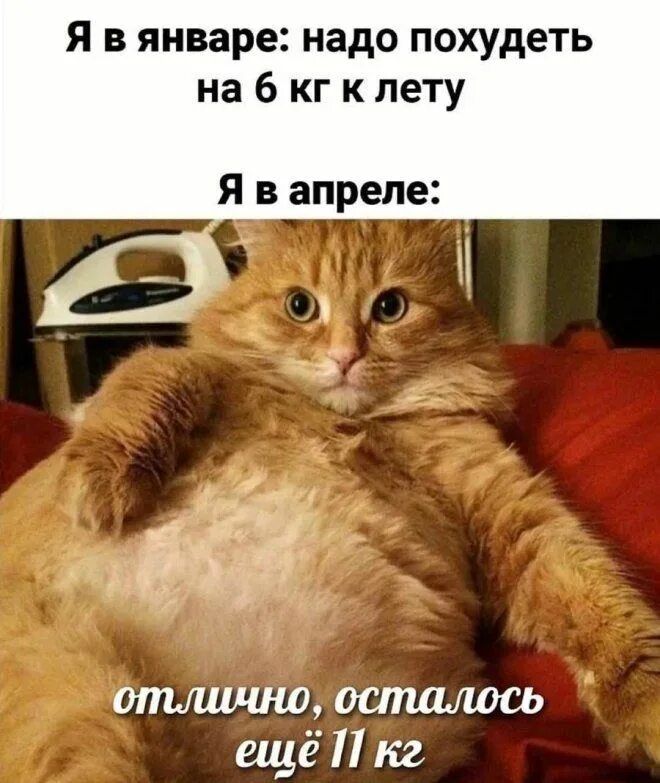 Я в январе: надо похудеть на 6 кг к лету Я в апреле: отлично, осталось ещё 11 кг