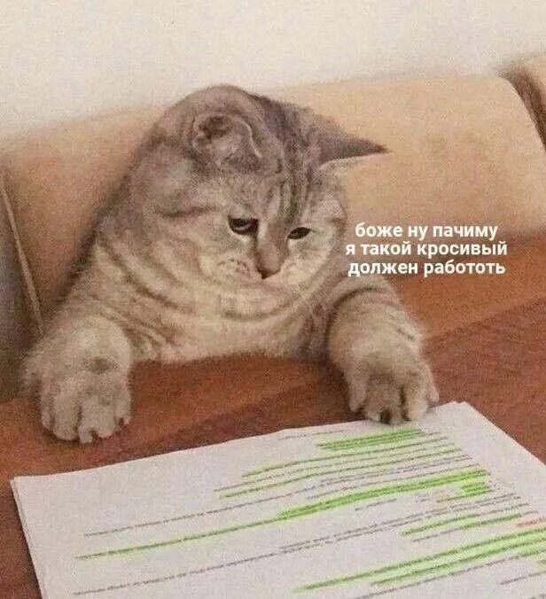 боже ну пачиму я такой кросивый должен работать