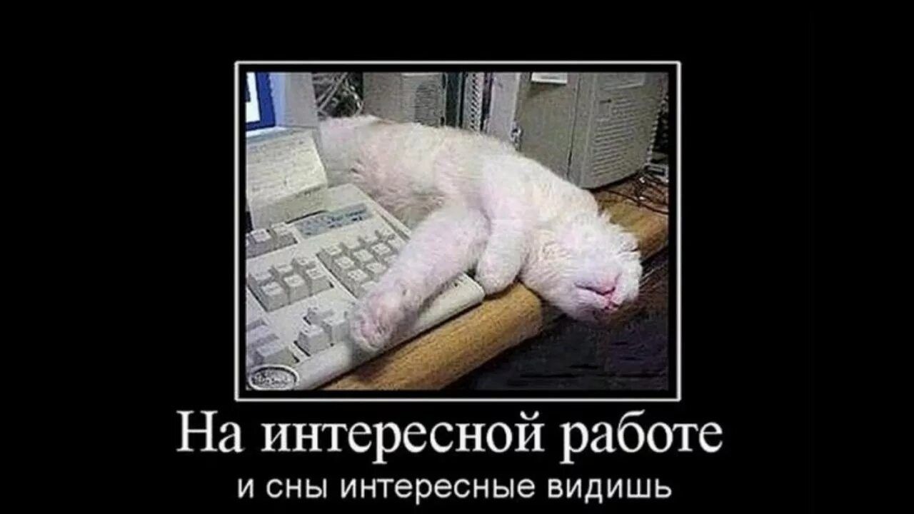 На интересной работе и сны интересные видишь
