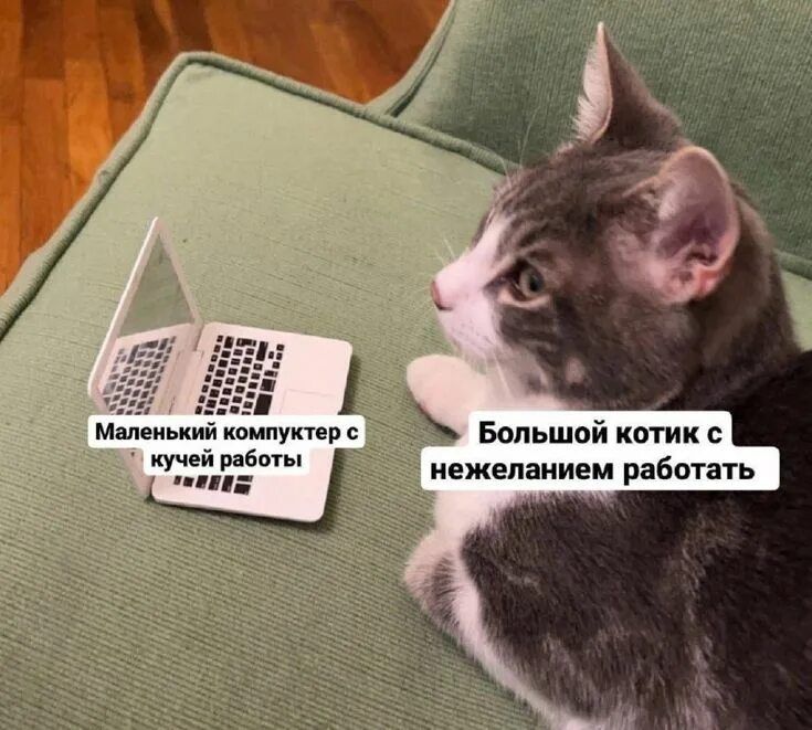 Маленький компуктер с кучей работы
Большой котик с нежеланием работать