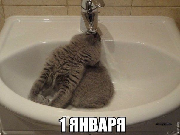 1 ЯНВАРЯ