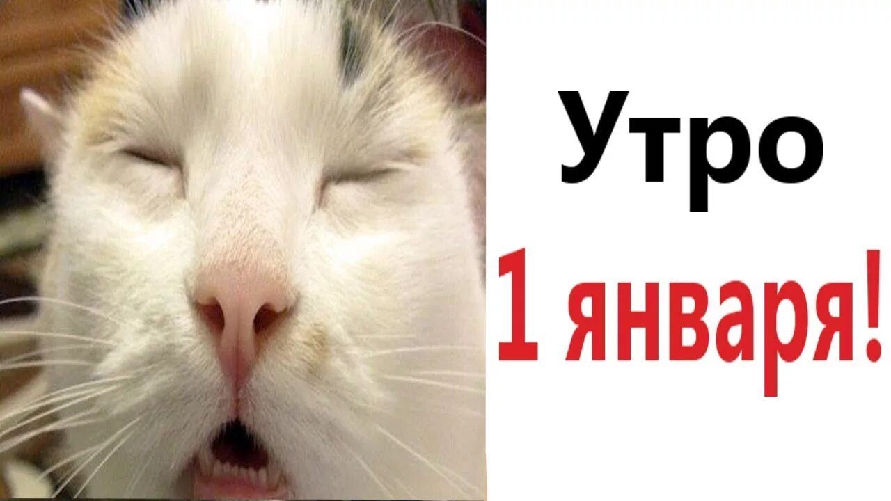 Утро 1 января!