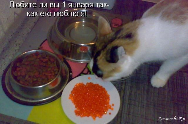 Любите ли вы 1 января так-как его люблю Я!