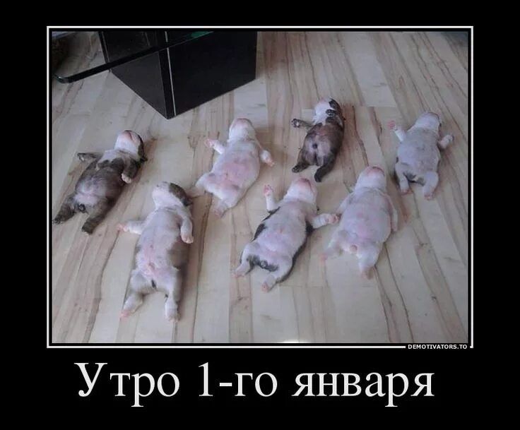 Утро 1-го января