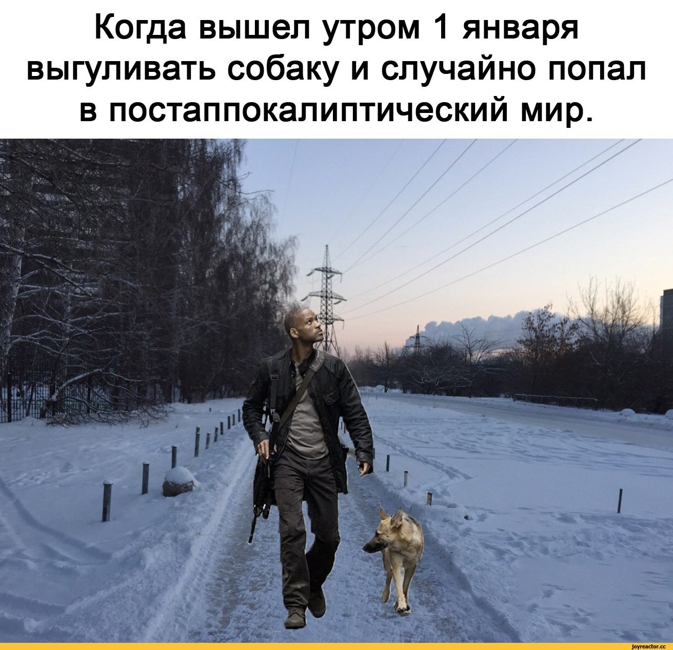 Когда вышел утром 1 января выгулвать собаку и случайно попал в постаппокалиптический мир.