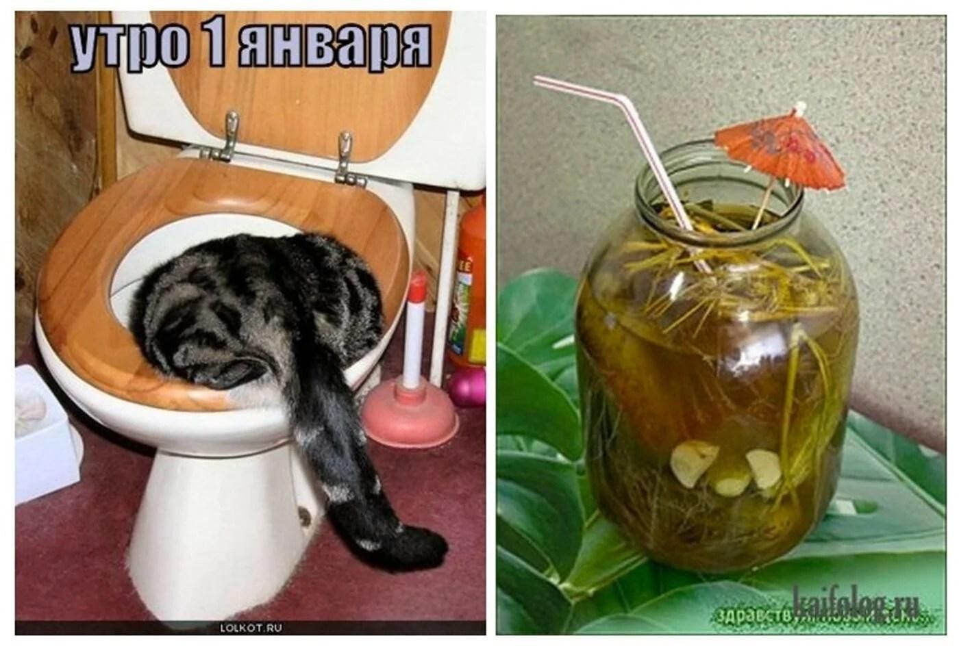 утро 1 января