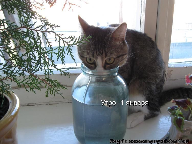 Утро 1 января