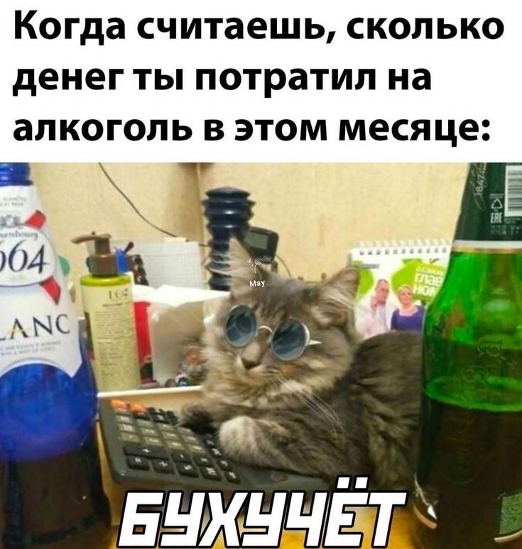Когда считаешь, сколько денег ты потратил на алкоголь в этом месяце: БУХУчёт