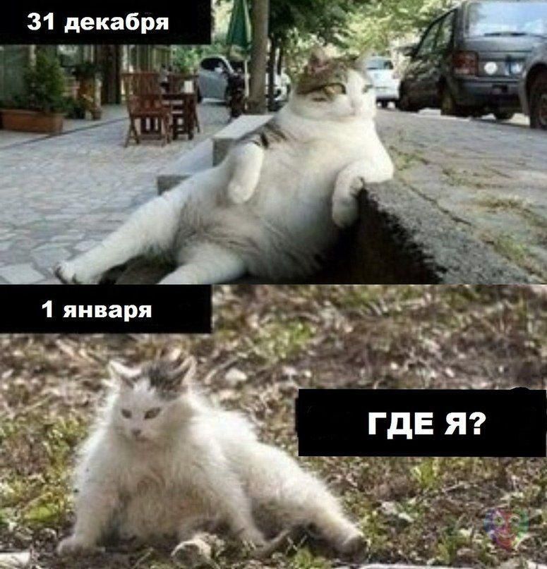 31 декабря
1 января
ГДЕ Я?