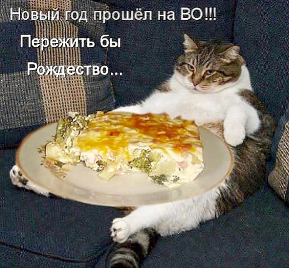 Новый год прошёл на ВО!!! Пережить бы Рождество...