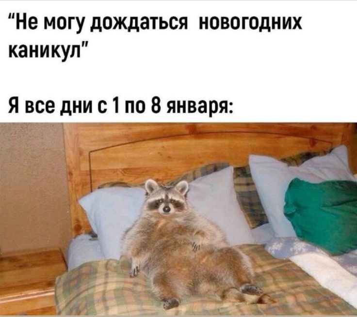 Не могу дождаться новогодних каникул
Я все дни с 1 по 8 января: