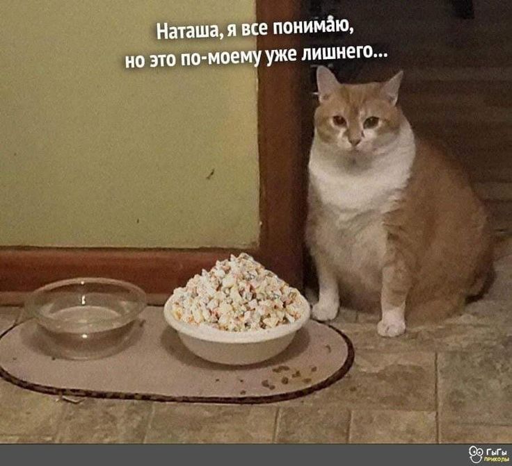 Наташа, я все понимаю, но это по-моему уже лишнего...