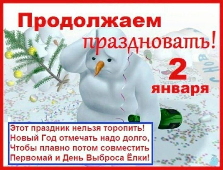 Продолжаем праздновать! Этот праздник нельзя торопить! Новый Год отмечать надо долго, Чтобы плавно потом совместить Первомай и День Выброса Ёлки!