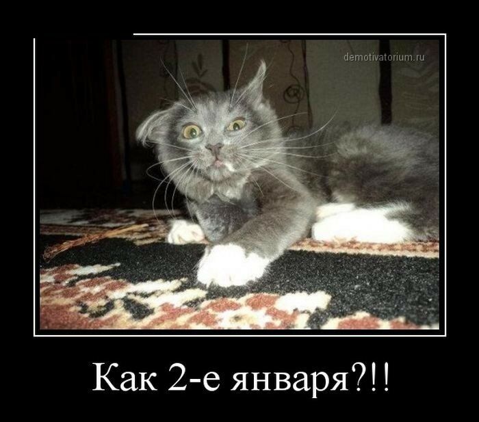 Как 2-е января?!!!