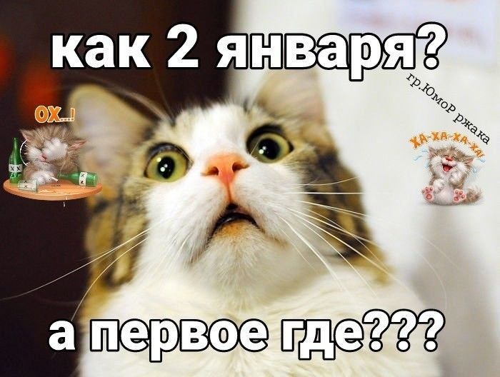 как 2 января? а первое где???