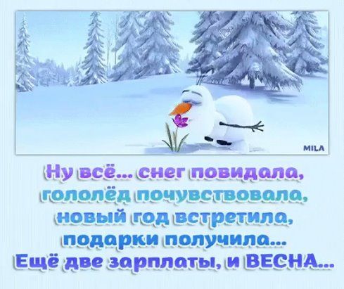 Ну всё... снег повидалa, гололё почувствовала, новый год встретила, подарки получила... Ещё две зарплаты, и ВЕСНА...