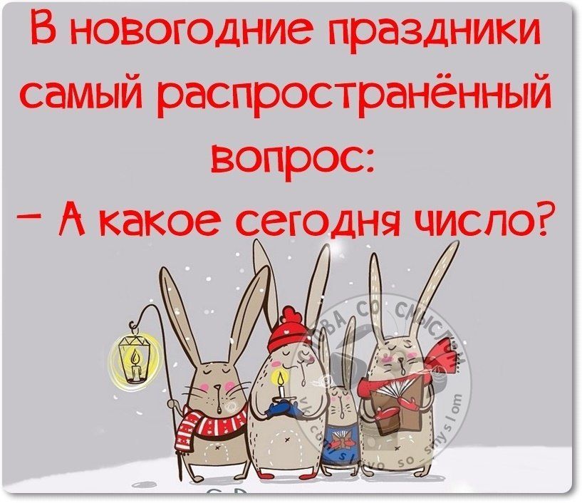 В новогодние праздники самый распространённый вопрос: – А какое сегодня число?