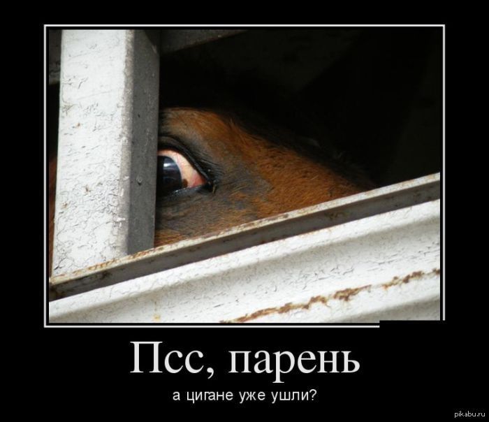 Псс, парень а цигане уже ушли?