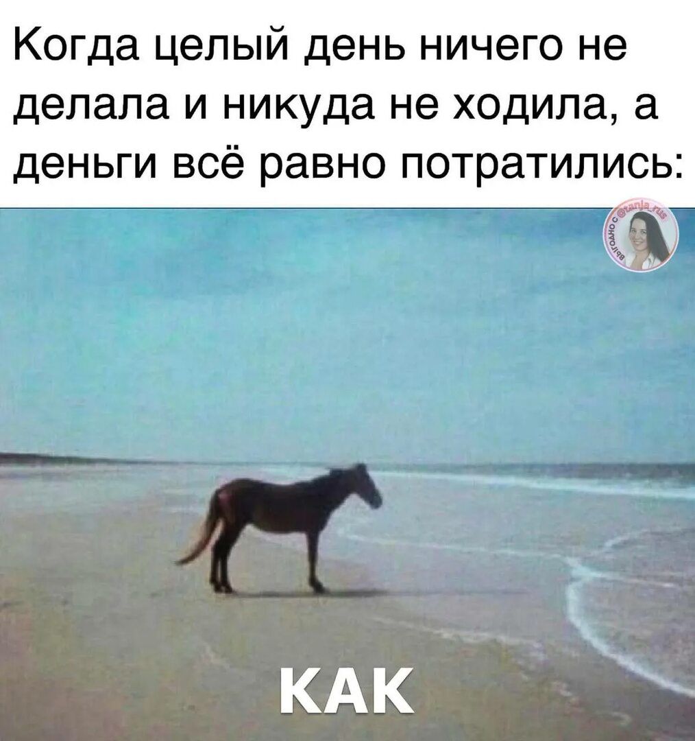 Когда целый день ничего не делала и никуда не ходила, а деньги всё равно потратились: КАК